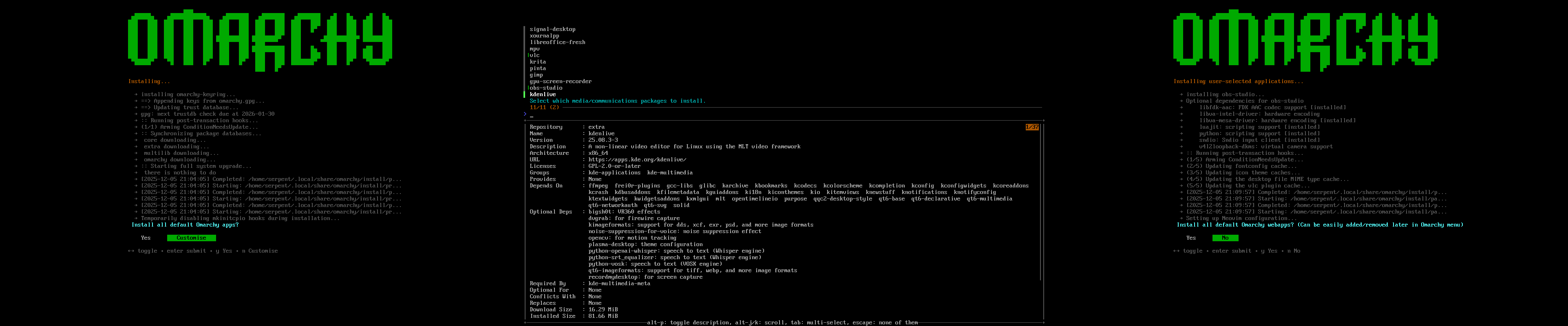 Screenshot of customisation options